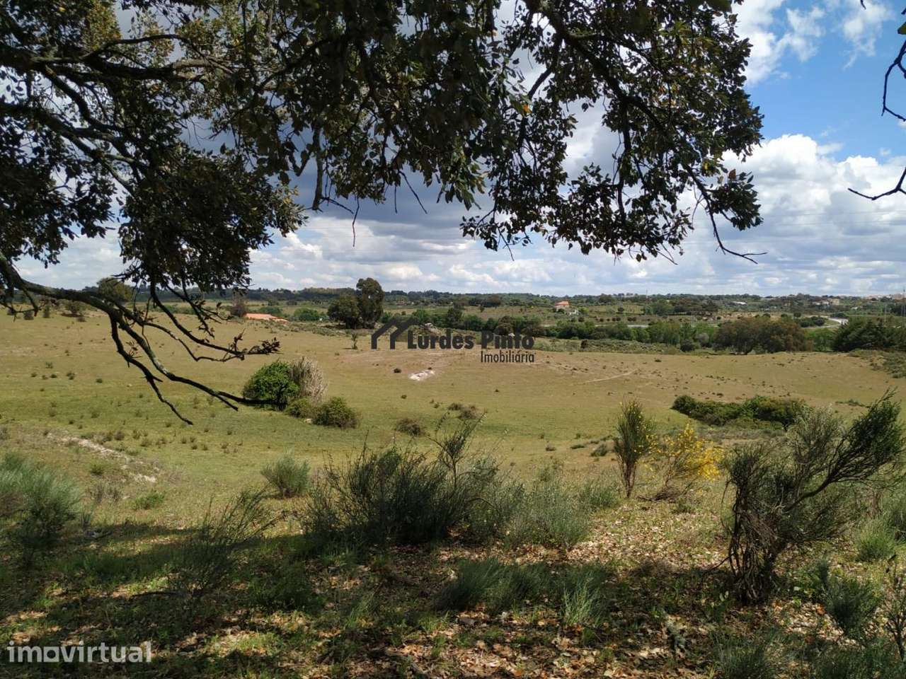 Terreno com 30.370 m2 em Castelo Branco - Grande imagem: 3/7