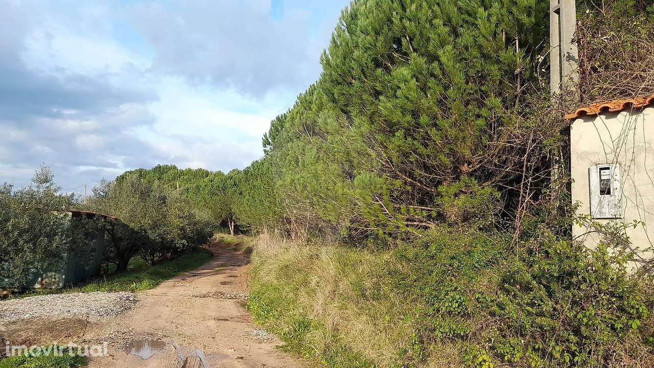 Terreno  para venda - Grande imagem: 5/13