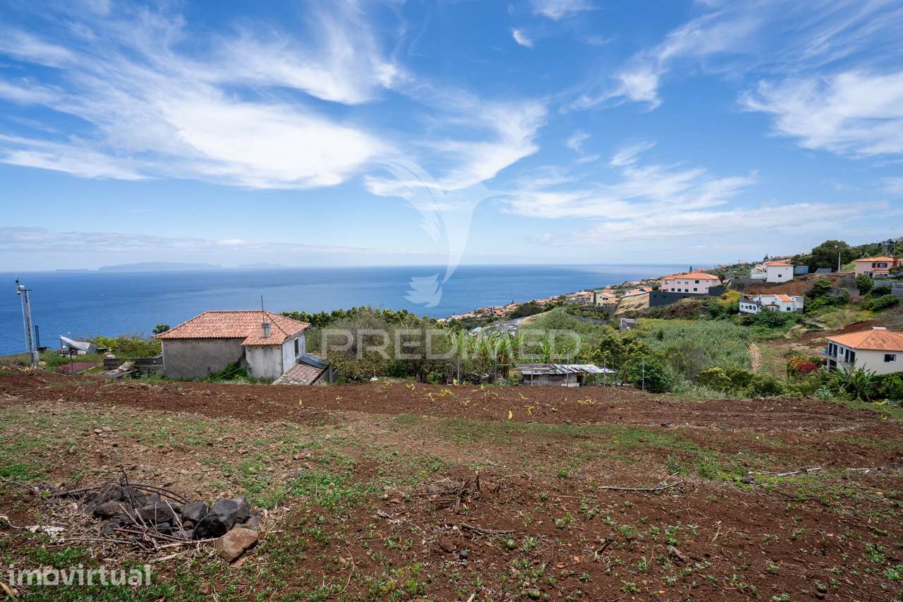 Terreno Rustico 3.550m2 Gaula - Grande imagem: 5/16