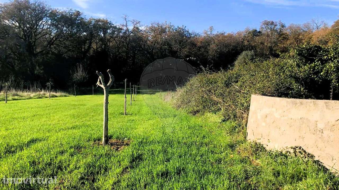 Terreno  para venda - Grande imagem: 4/8