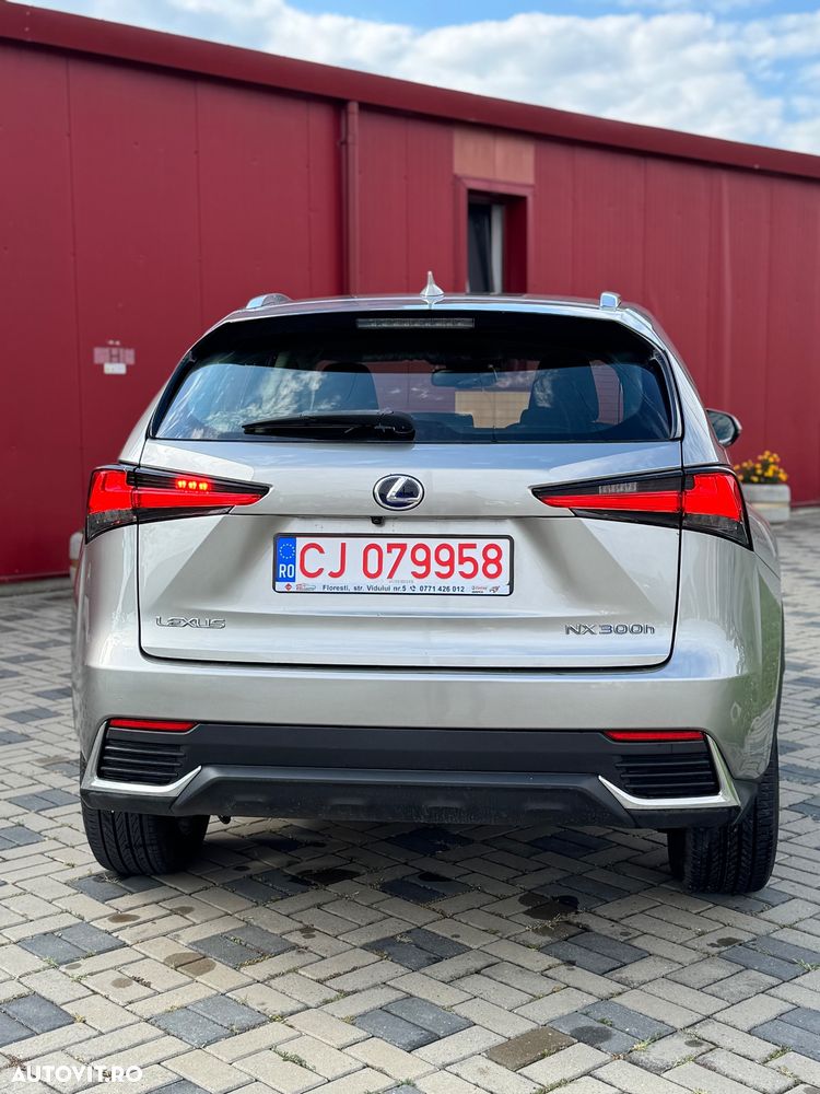 Lexus Seria NX 300h AWD Business Plus - 15