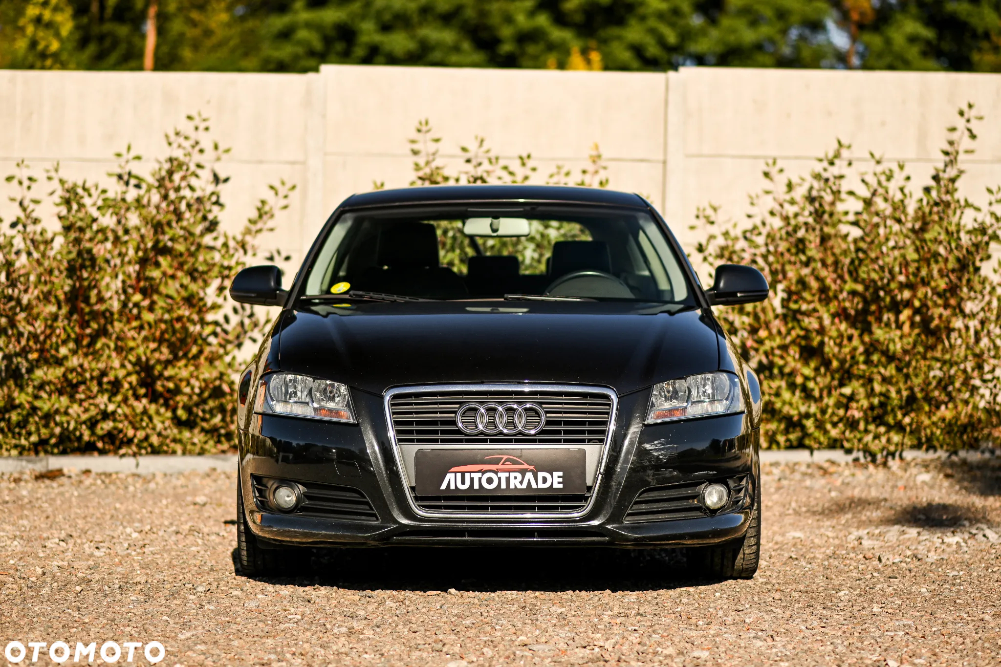 Audi A3 1.6 TDI Ambition - 4