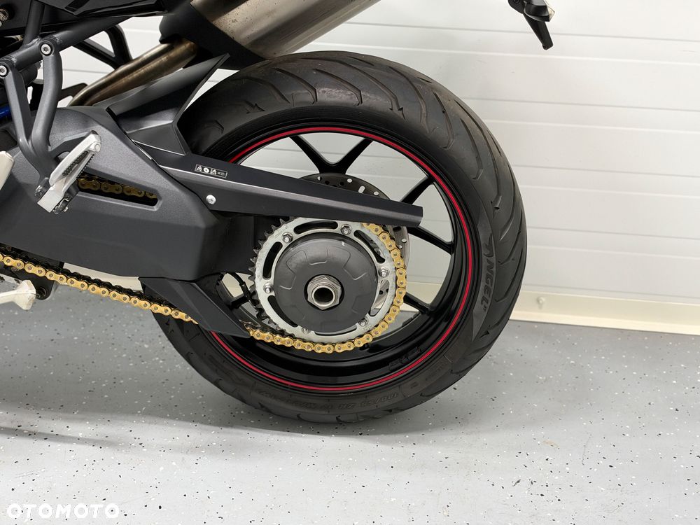 Triumph Tiger - 25
