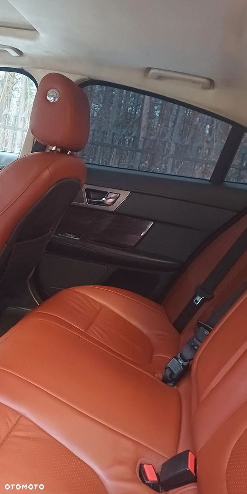 Jaguar XF 3.0 V6 D Premium Luxury - 7
