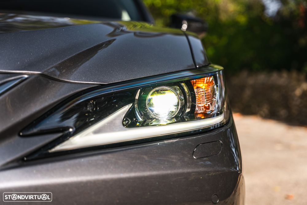 Lexus ES 300h Special Edition - 18