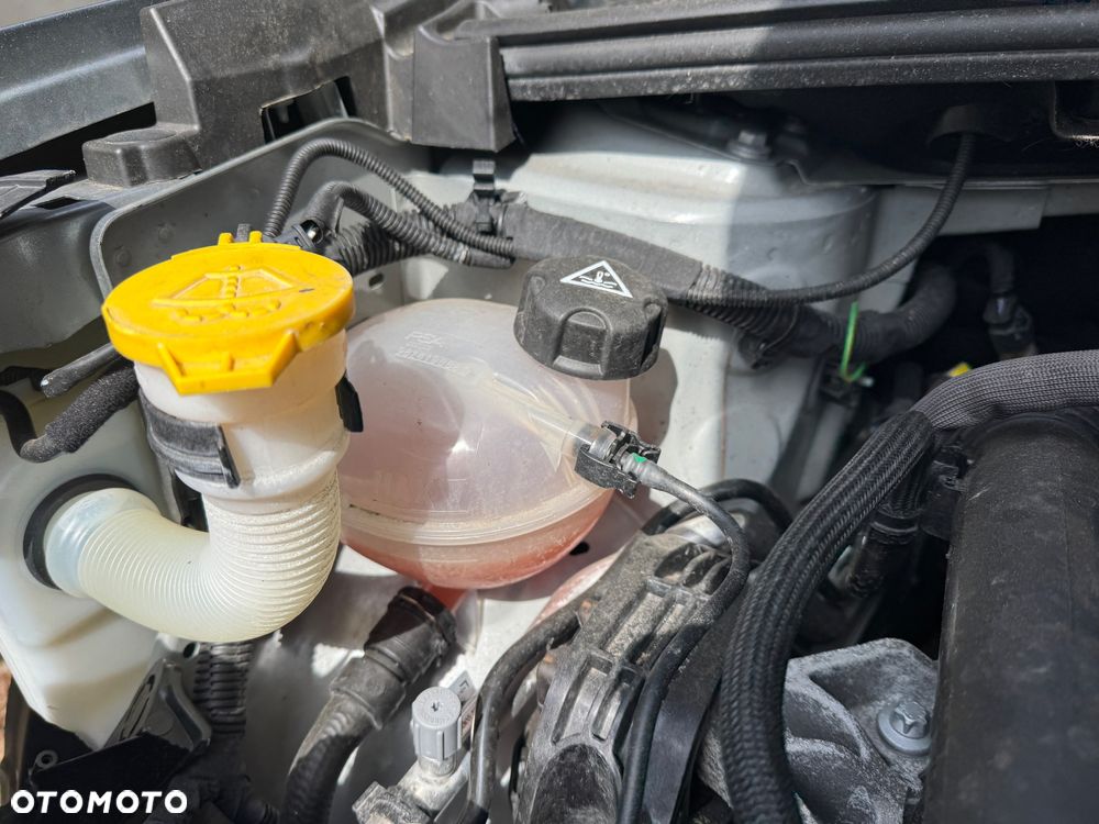 Jeep Avenger 1.2 GSE T3 Turbo-Benzin GDI Altitude - 19