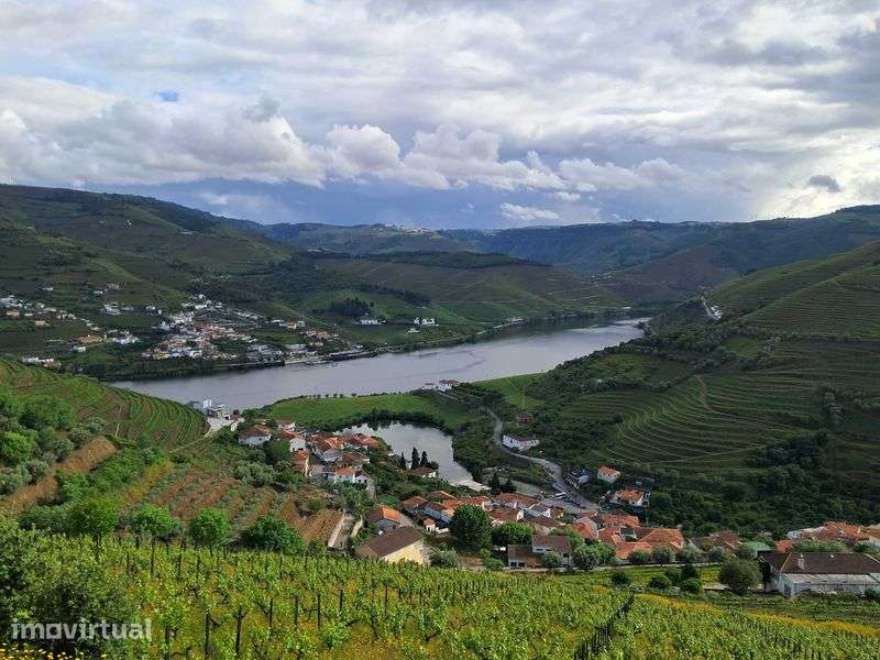 Arrendo casa em Covelinhas,  Peso da Régua - Grande imagem: 3/7