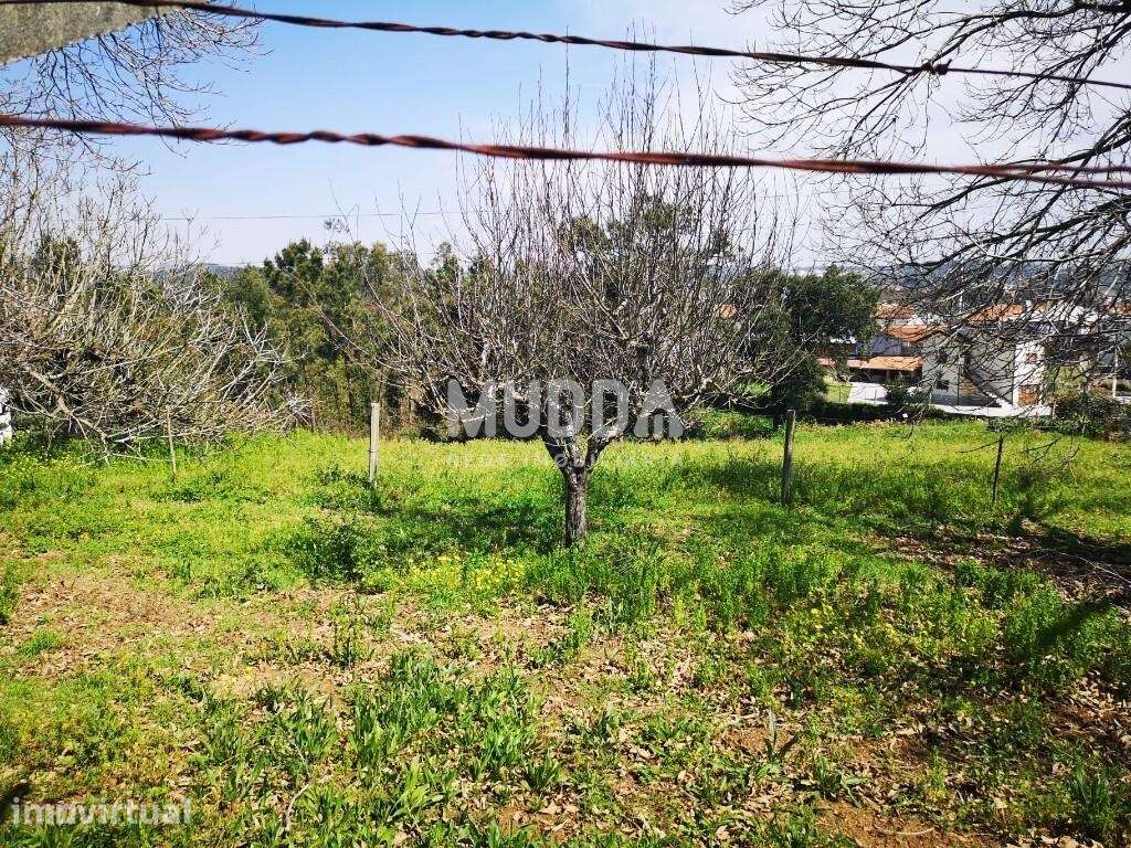 Terreno C/ 35m de Frente Com Viabilidade de Construção - Grande imagem: 3/12