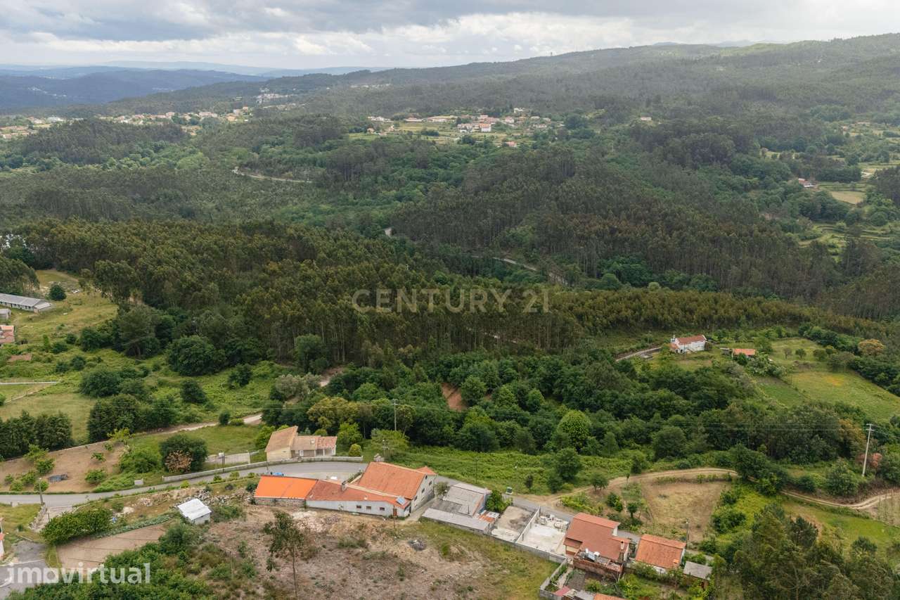 Terreno Rústico com 4.700 m² junto à Ecopista do Vouga – Arcozelo das - Grande imagem: 5/16