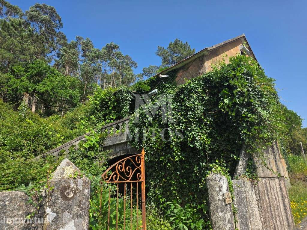 Moradia T3 p/ restauro - Mentrestido - Grande imagem: 3/14