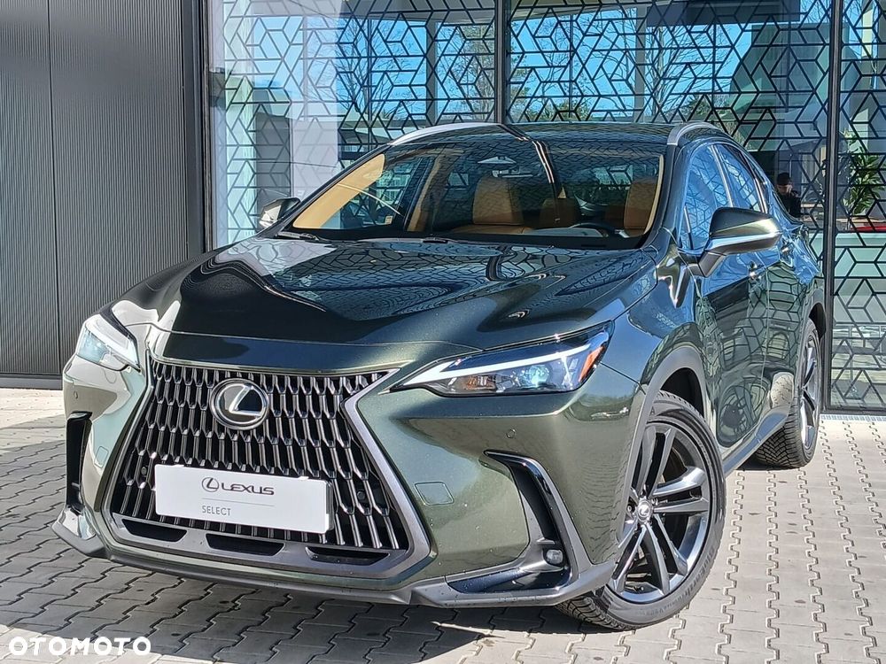 Lexus NX - 10