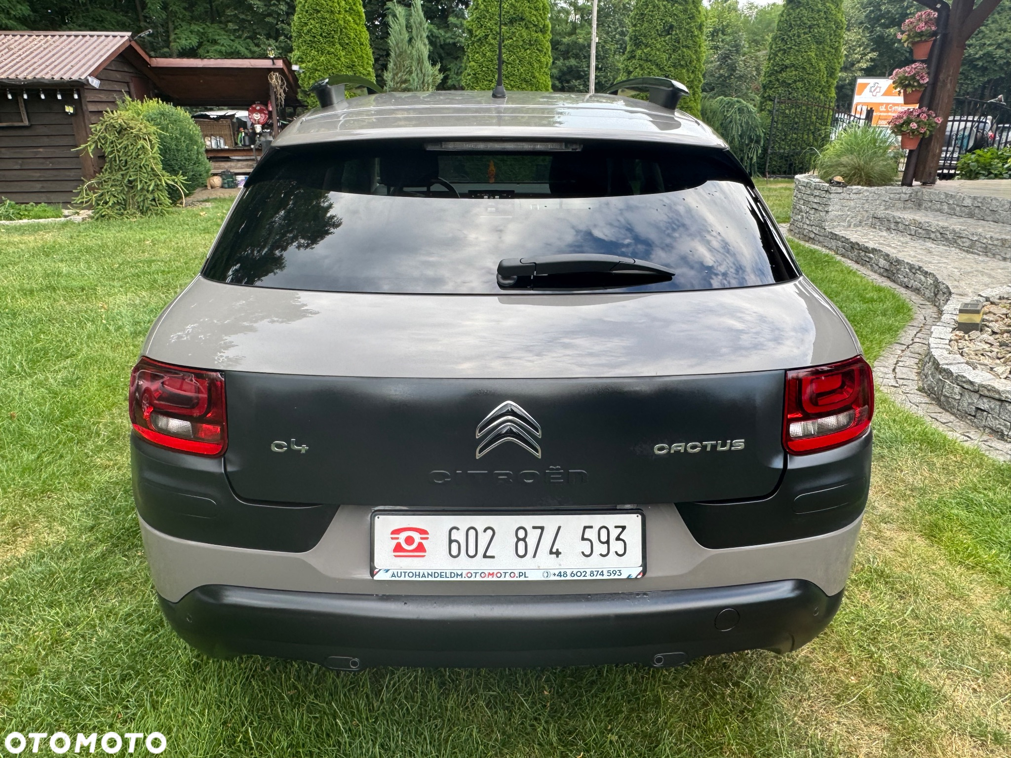 Citroën C4 Cactus 1.6 Blue HDi Shine ETG - 12