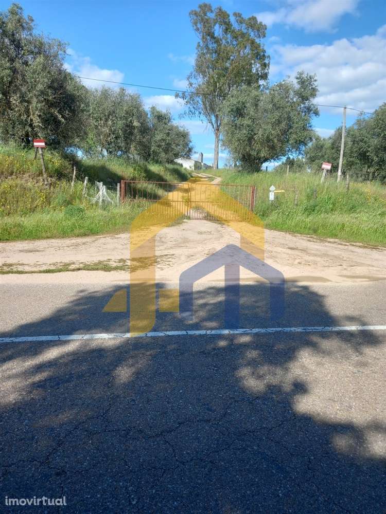 🏡 Quintinha em Monforte - Grande imagem: 2/22