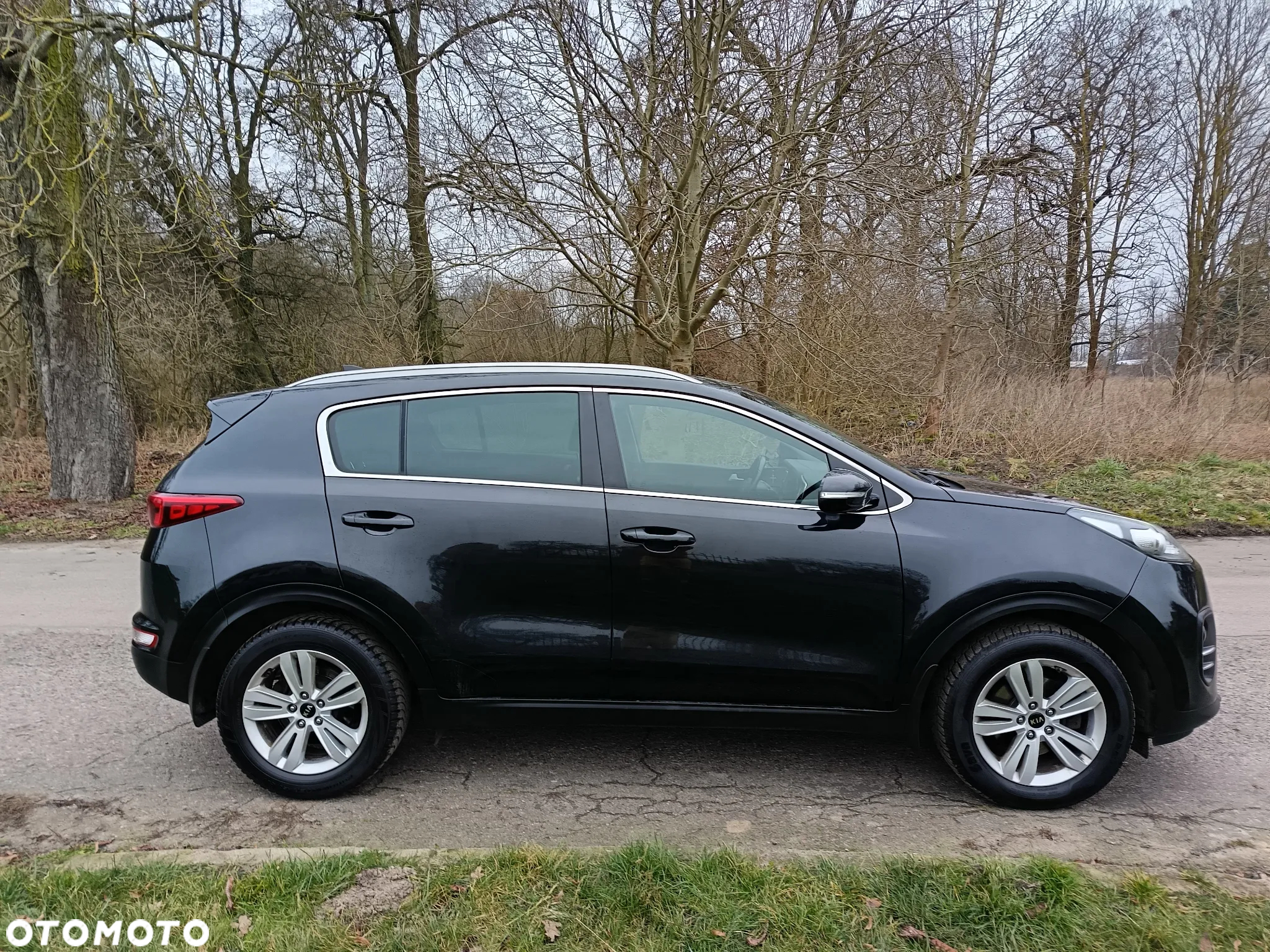 Kia Sportage - 2