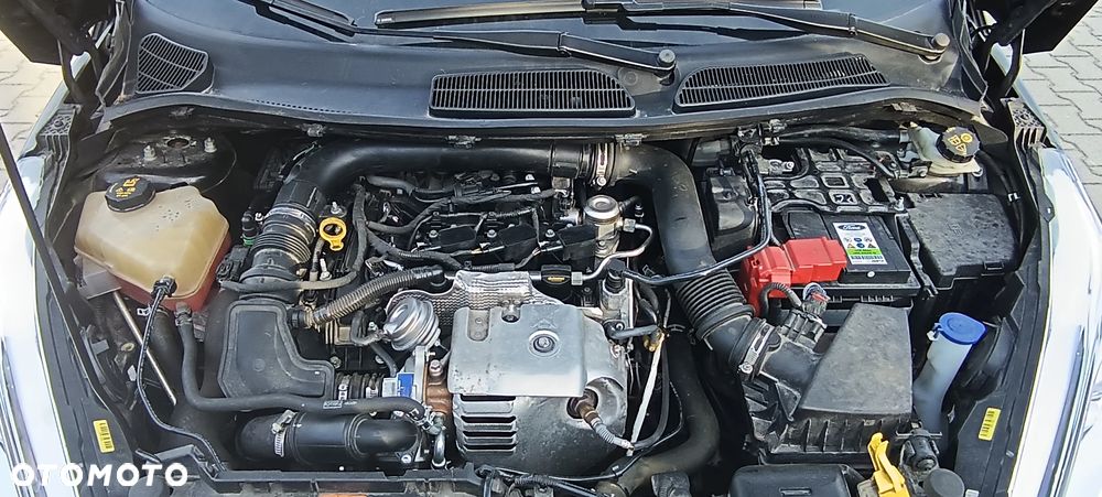 Ford Fiesta - 16