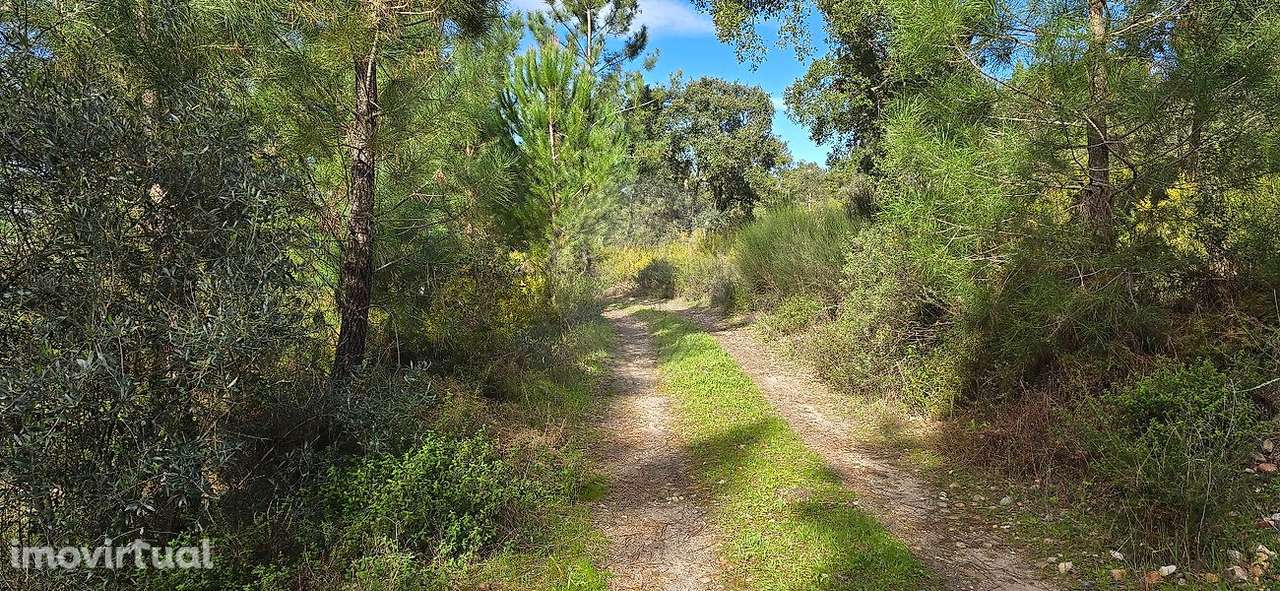 Terreno  para venda - Grande imagem: 3/16