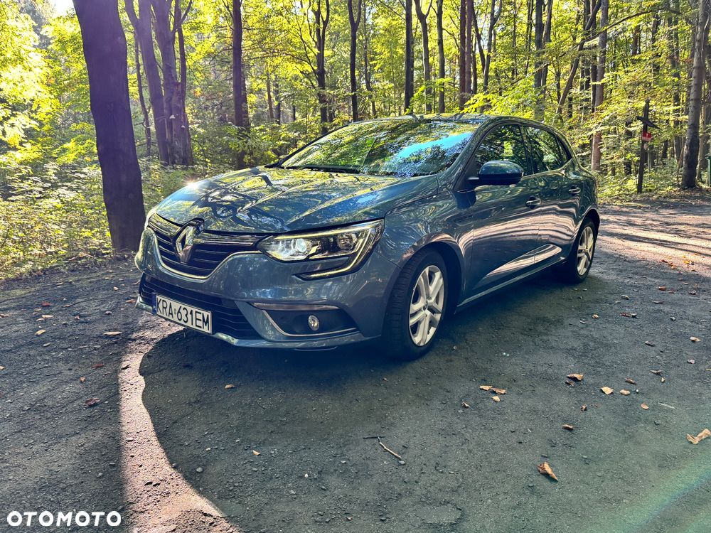 Renault Megane - 36