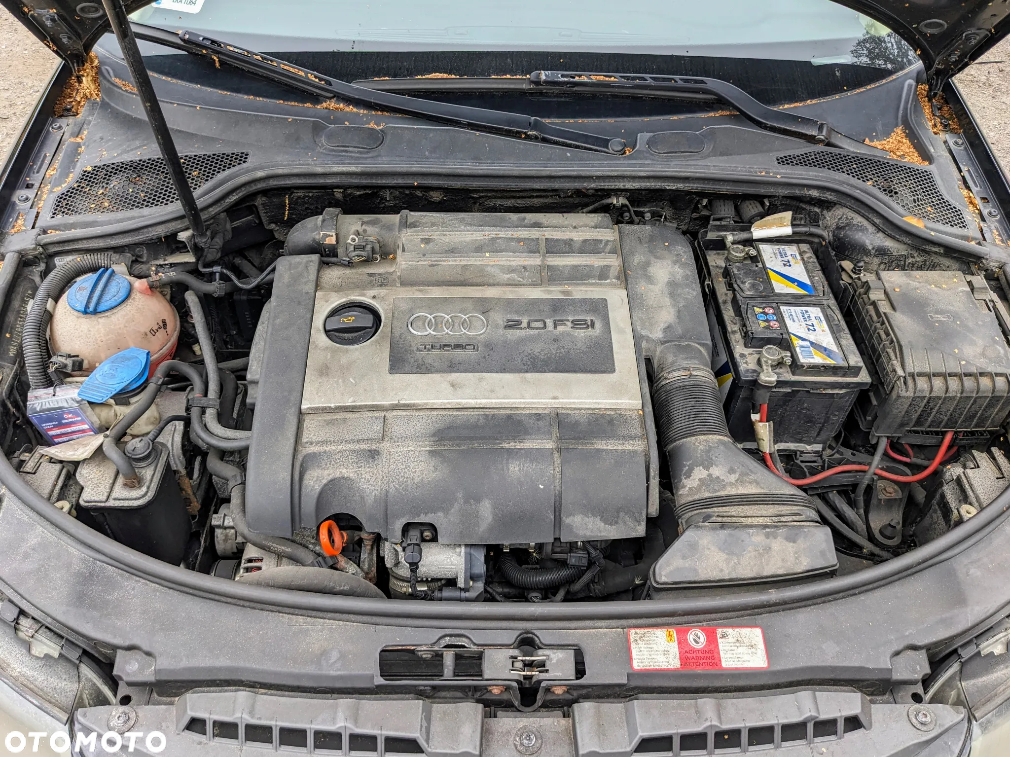 Audi A3 8P 2.0 TFSI 2004 LZ9W na cęści - 12