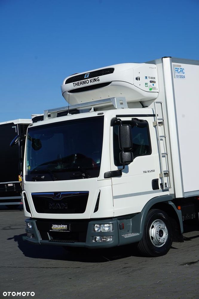 MAN TGL / 12.250 / ACC / EURO 6 / CHŁODNIA / 2 KOMOROWA - 29