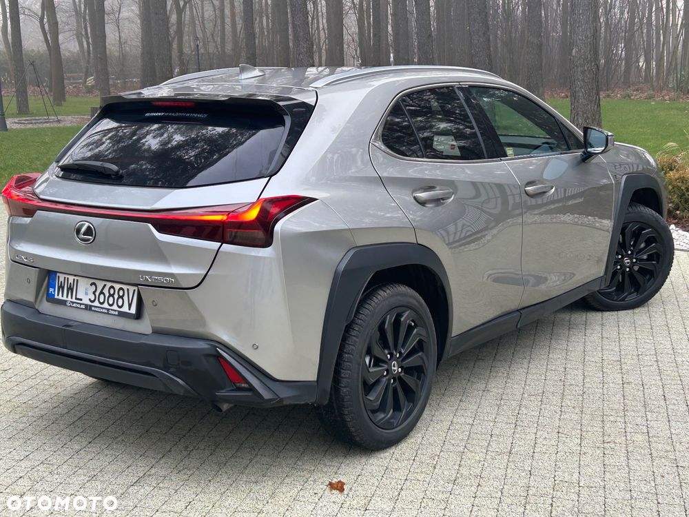 Lexus UX 250h F Sport 2WD - 9