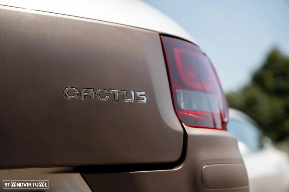 Citroën C4 Cactus 1.6 BlueHDi Feel - 20