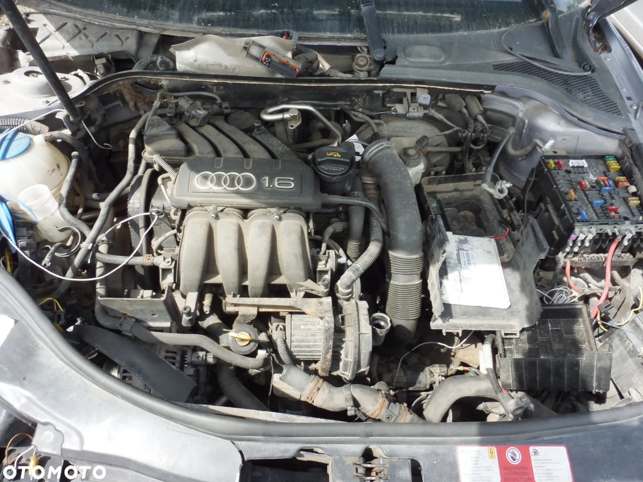 Audi A3 8P 3D 1.6 8V MPI BGU Skrzynia FVH JHT LY7H  Maska Błotnik Drzwi Zderzak - 6