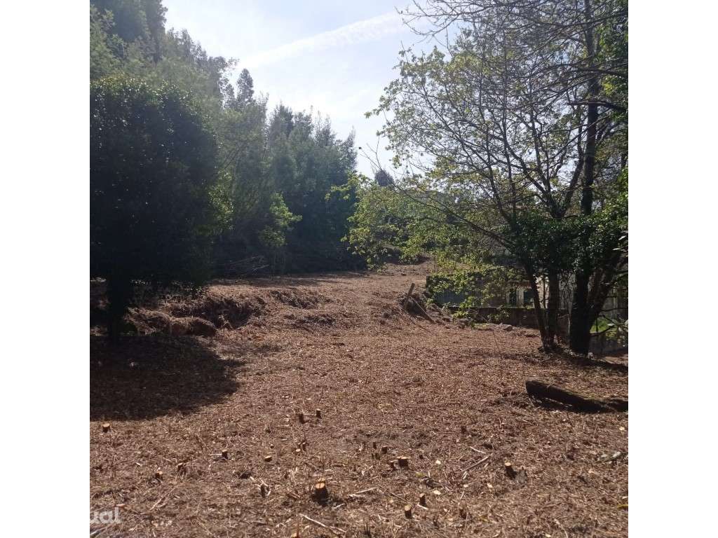 Terreno Refojos de Riba D'Ave - Grande imagem: 5/13