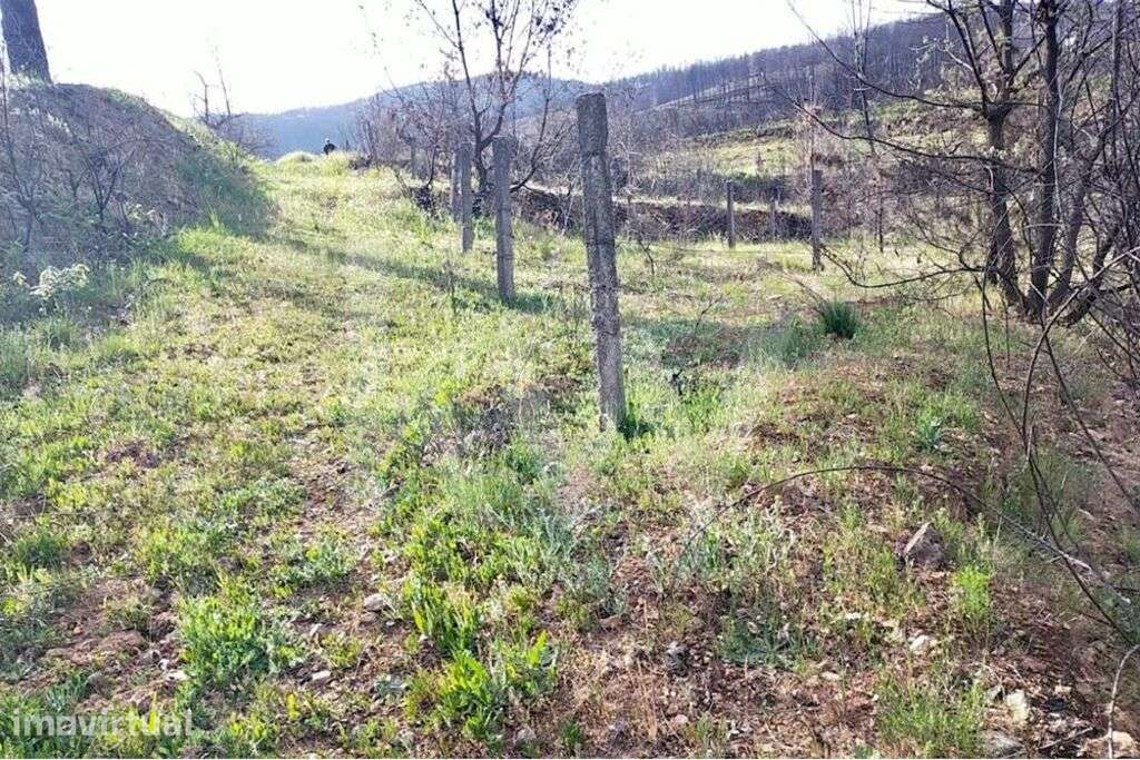 Terreno rústico parcialmente urbanizável na Serra da Estrela - Grande imagem: 4/17