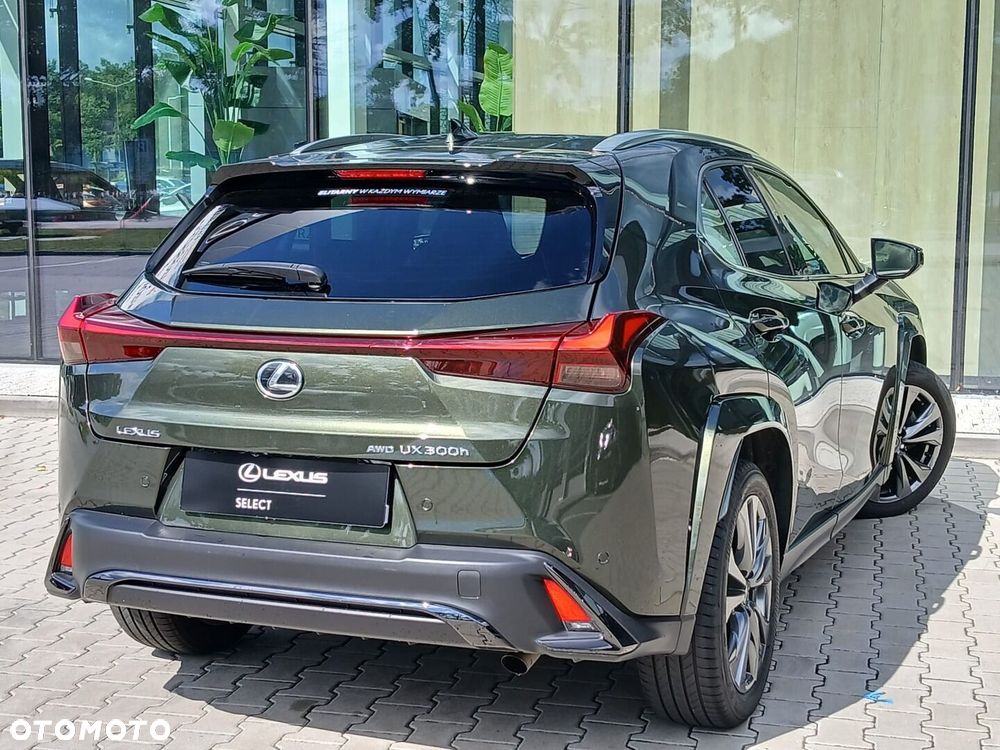 Lexus UX 300h F Sport AWD - 14