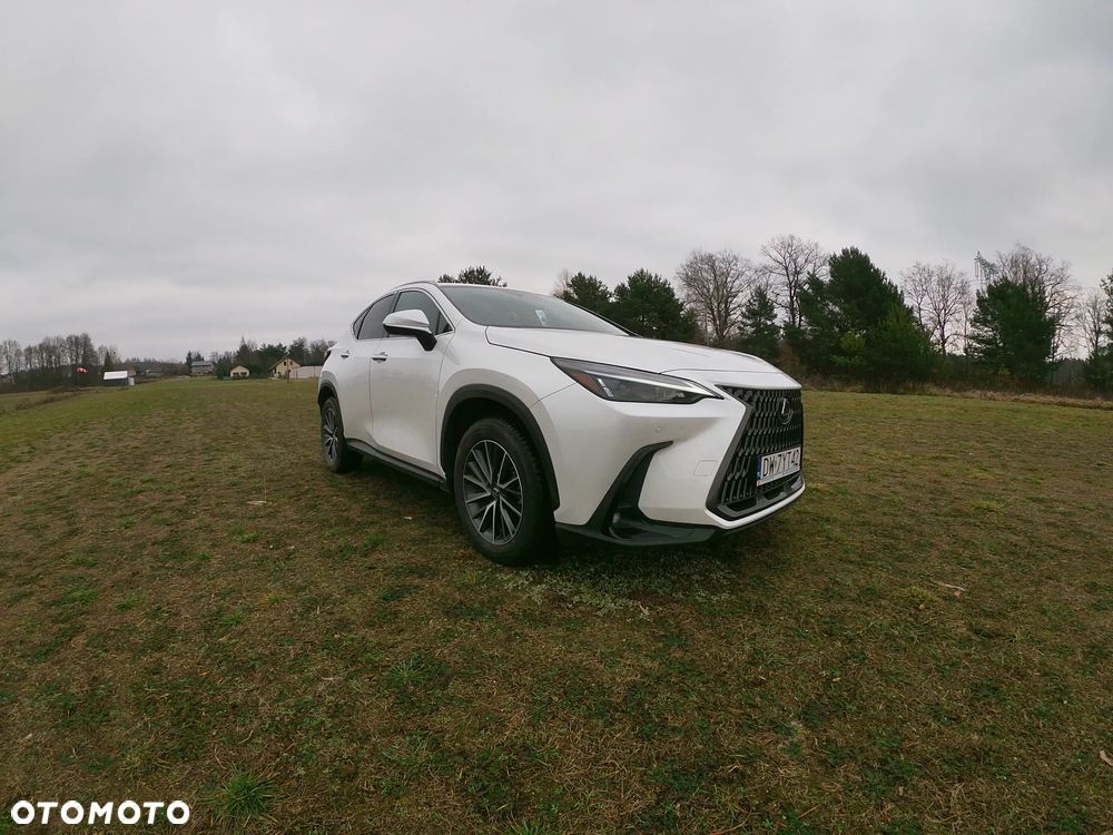 Lexus NX 350h Prestige 2WD - 2