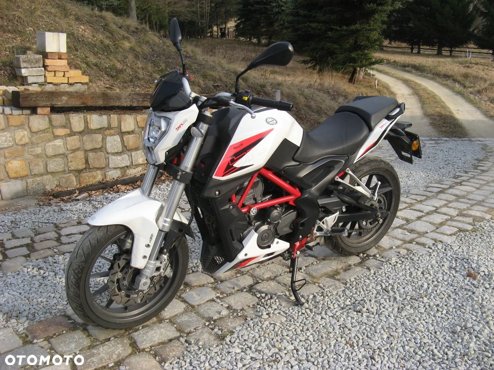 Benelli BN 251 - 2