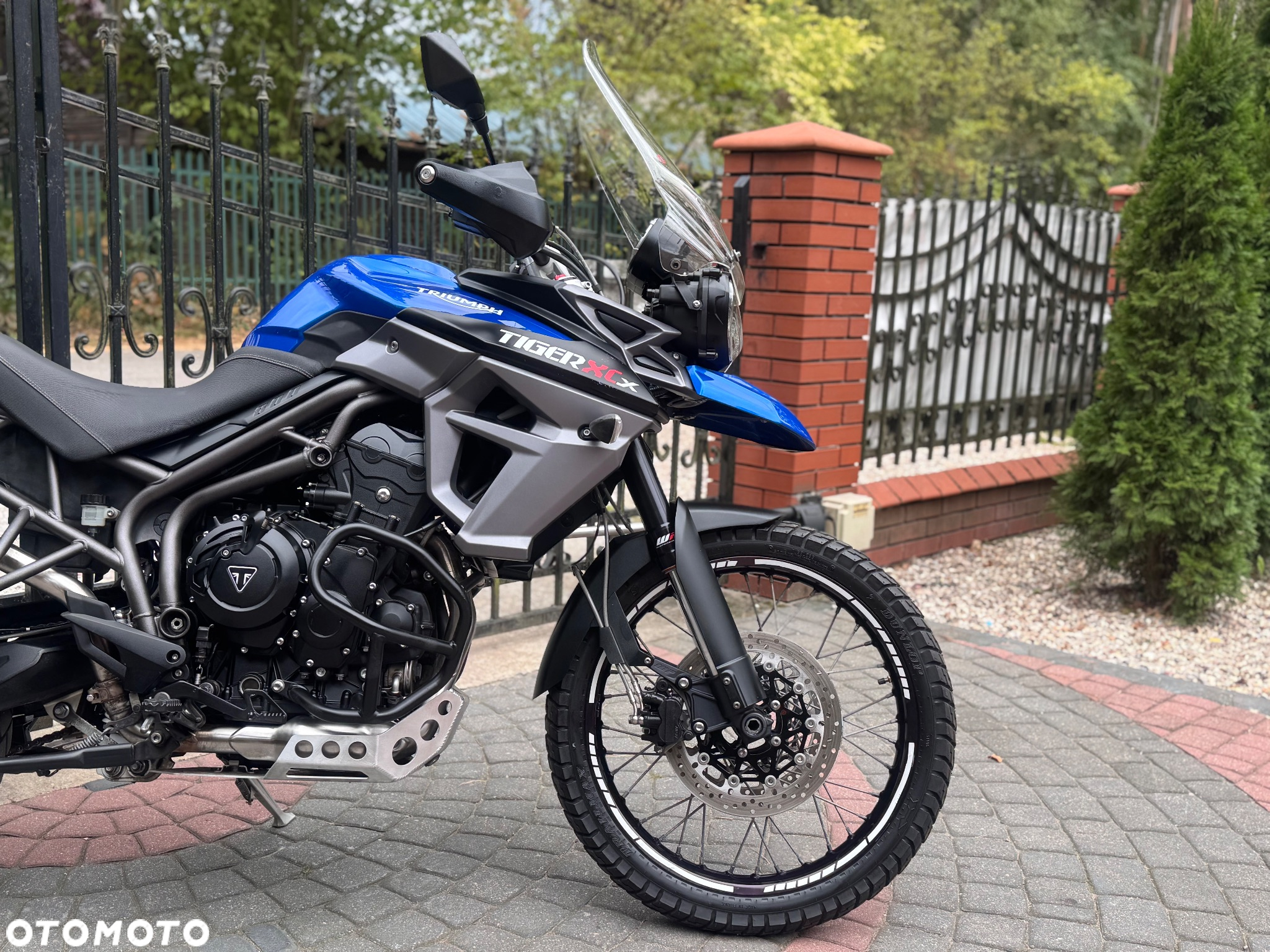 Triumph Tiger - 10