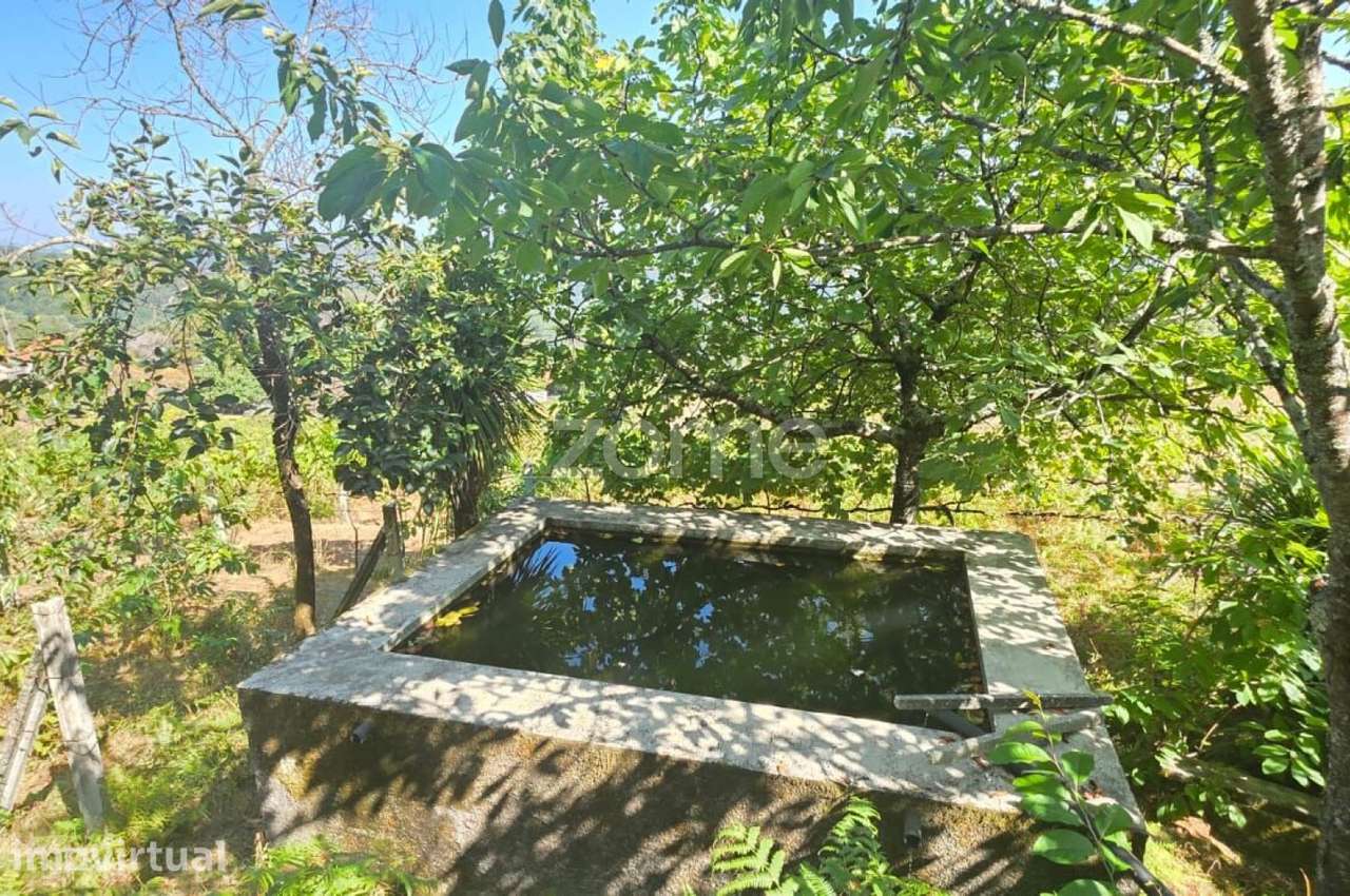 Terreno para construção em Rio Mau- Vila Verde - Grande imagem: 3/10