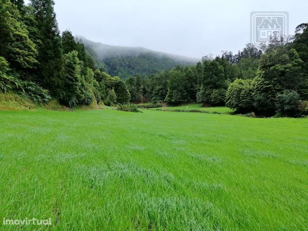 VENDA de AMPLO TERRENO rústico com pastagem e mata - Sete Cidades, ... - Grande imagem: 5/33