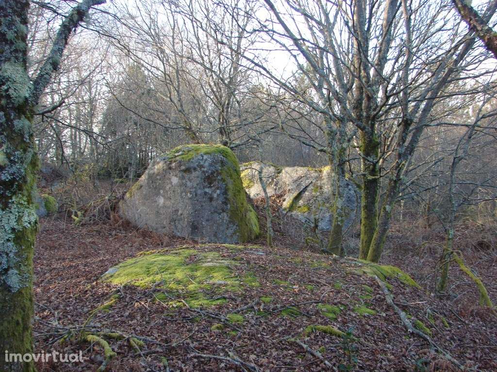 Monte em Paredes de Coura - Grande imagem: 2/6