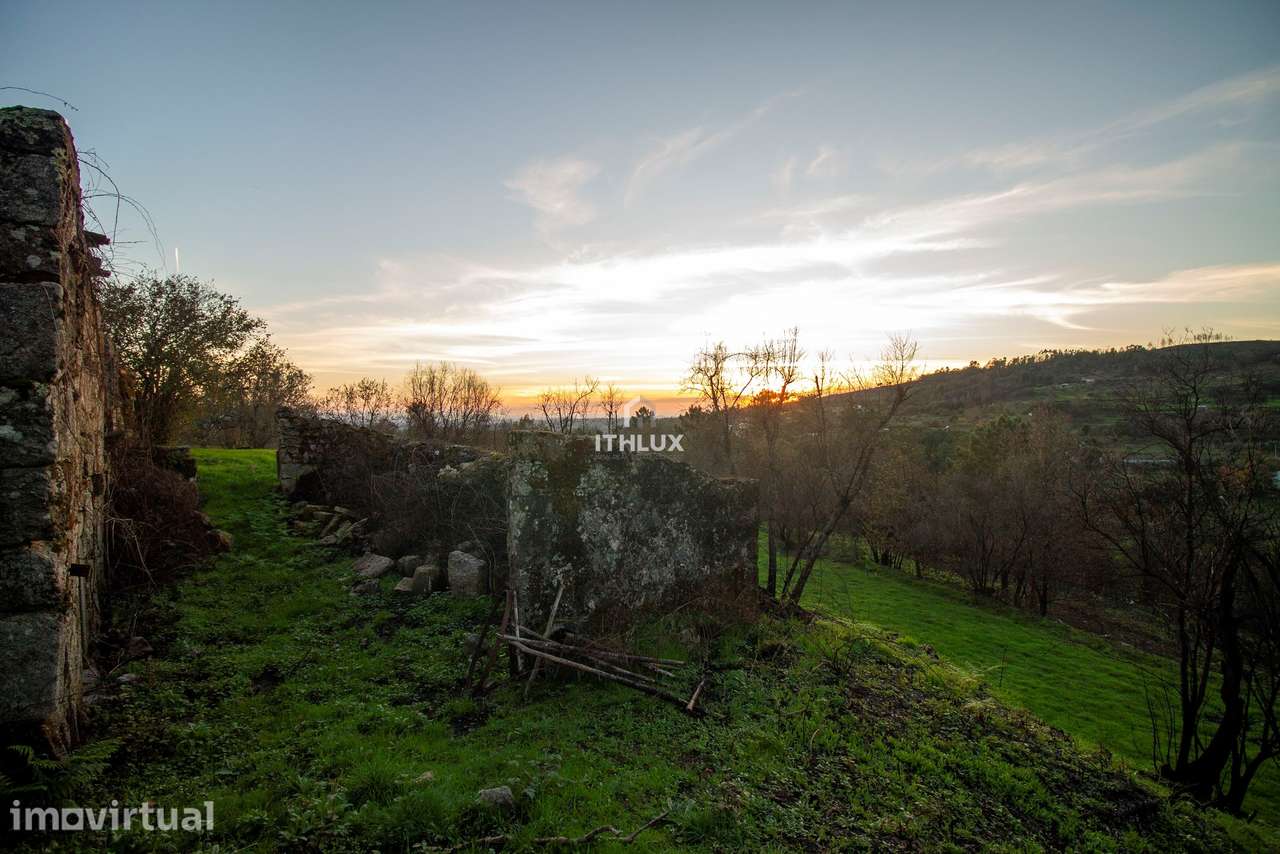 Quinta com 1ha, Cunha Alta, Mangualde - Grande imagem: 3/13