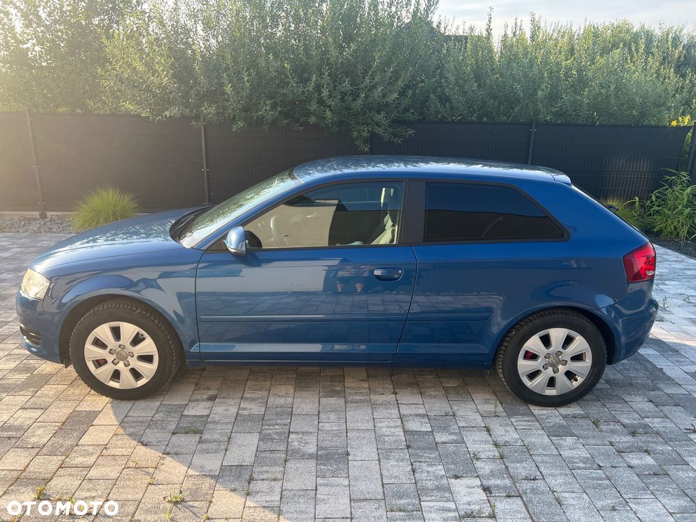 Audi A3 3-drzwiowe 2.0 TDI DPF Attraction - 2