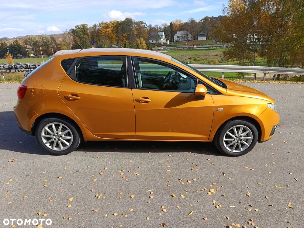 Seat Ibiza 2011 photo 3