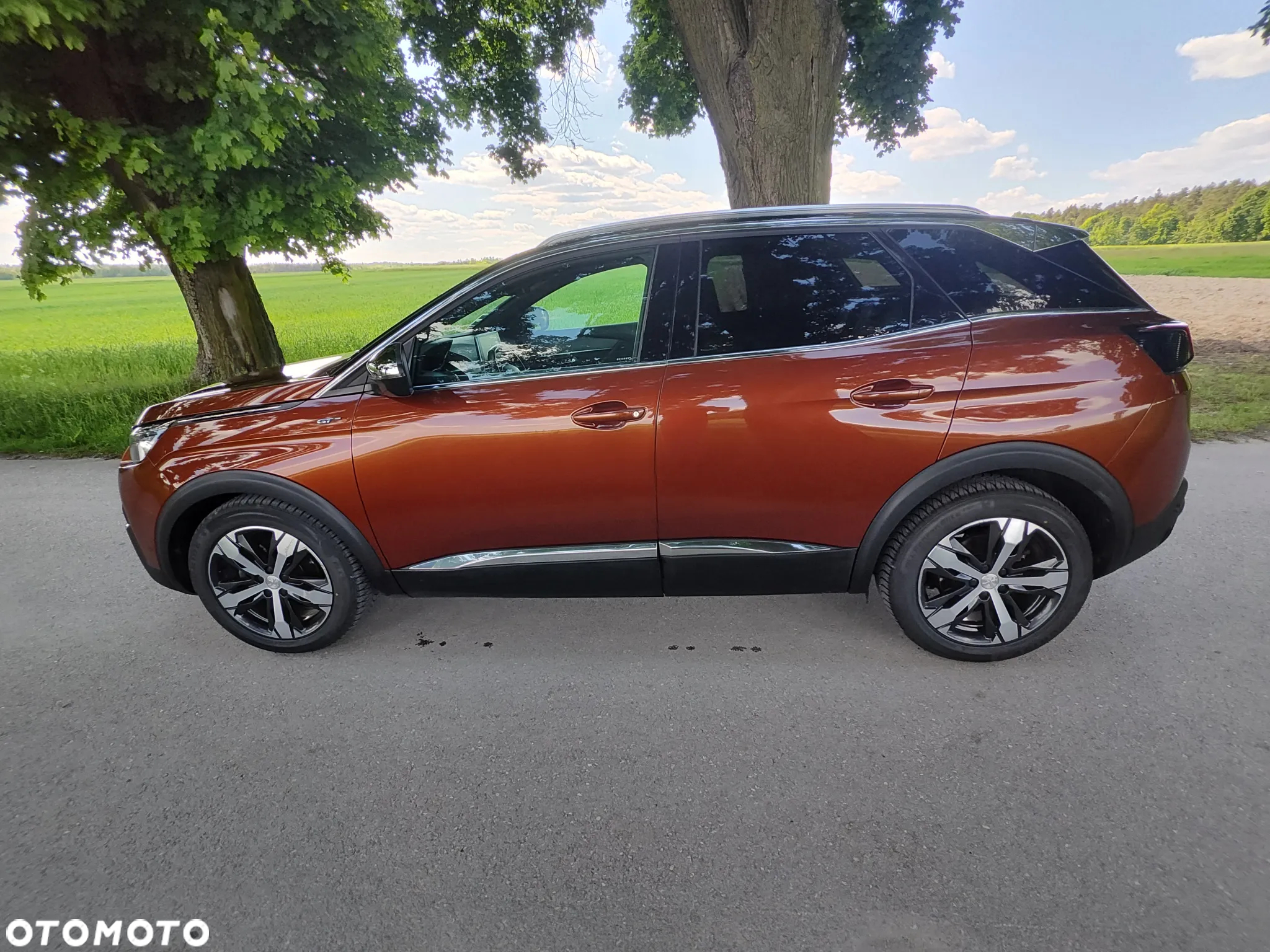 Peugeot 3008 2.0 BlueHDi GT S&S EAT8 - 23