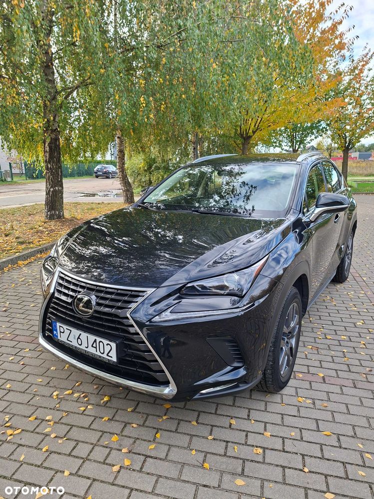 Lexus NX - 1
