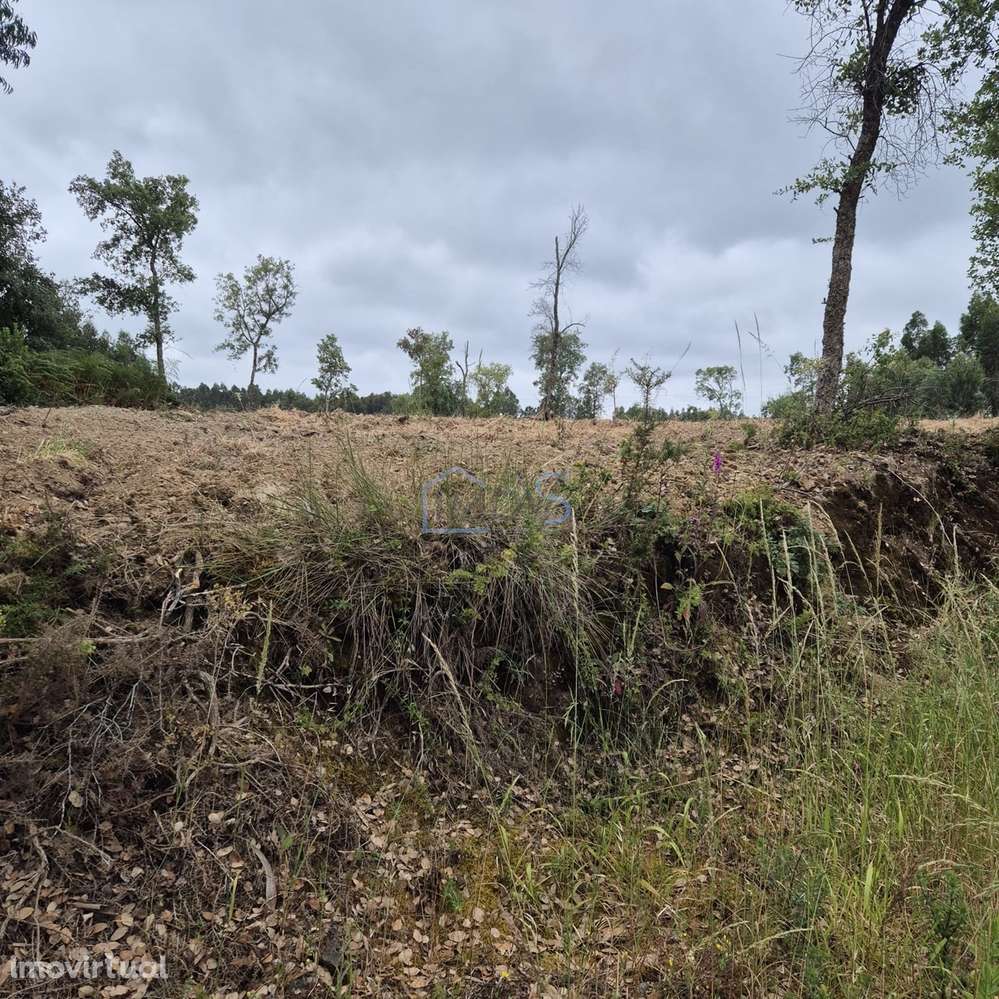 Terreno com 4.560 m² e Viabilidade de Construção – Casais, FZZ - Grande imagem: 5/20