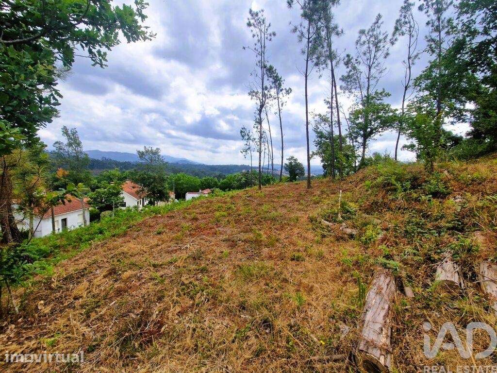 Terreno Agrícola em Lanheses - Grande imagem: 4/21