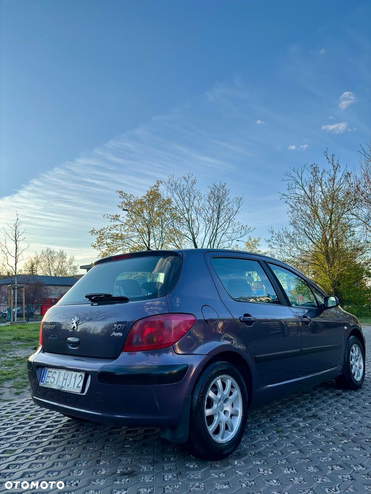 Peugeot 307 1.4 XS - 6
