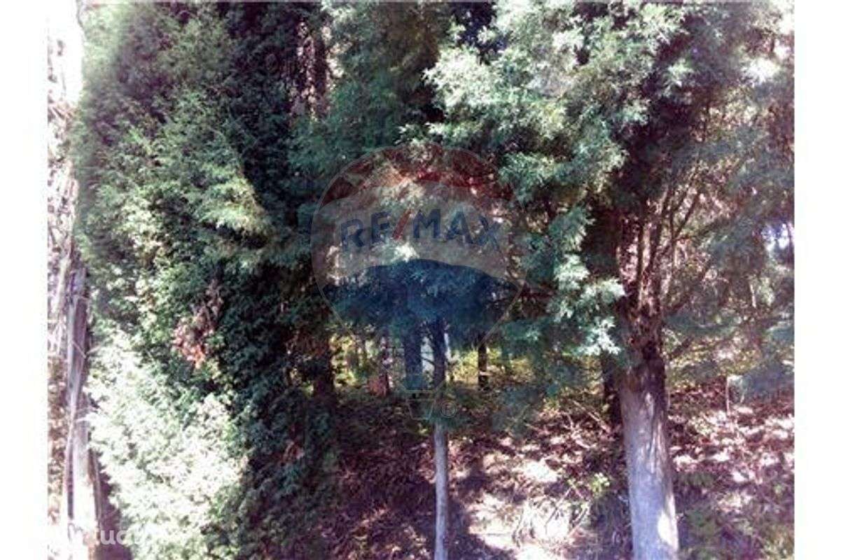 Terreno  para venda - Grande imagem: 5/7