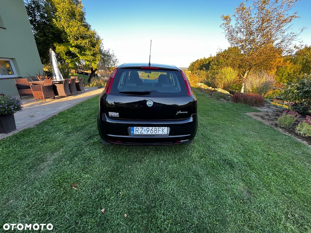 Fiat Punto - 5