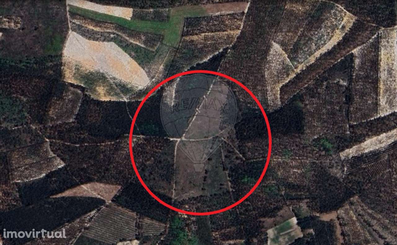 Terreno  para venda - Grande imagem: 4/4