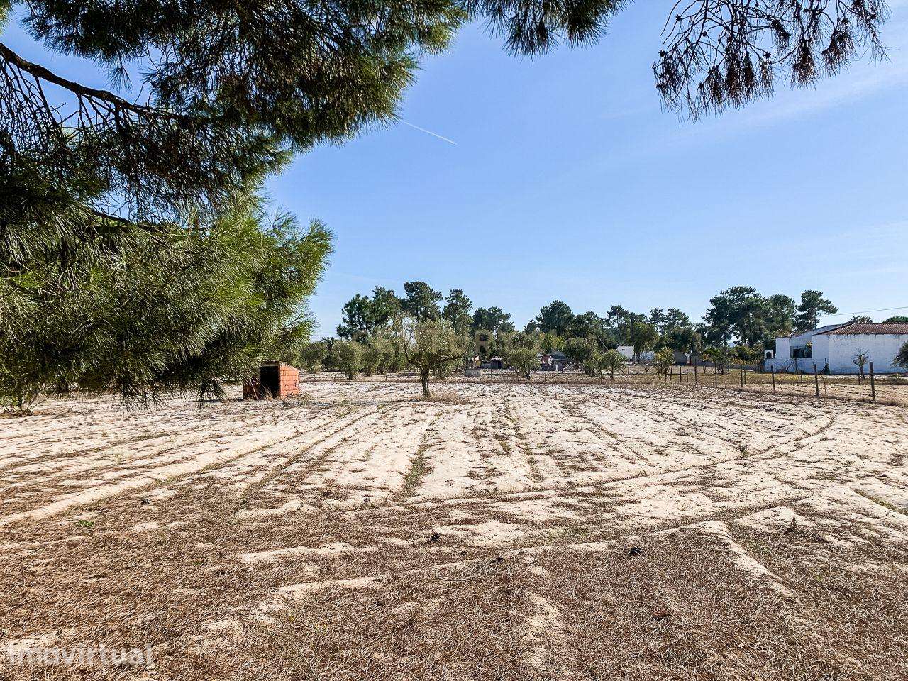 Terreno rústico com 2.600 m² - Vale Gamito, Quinta do Amaro, Grândola - Grande imagem: 5/11