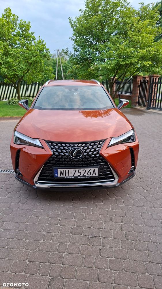 Lexus UX 200 GPF F Sport Design 2WD - 7