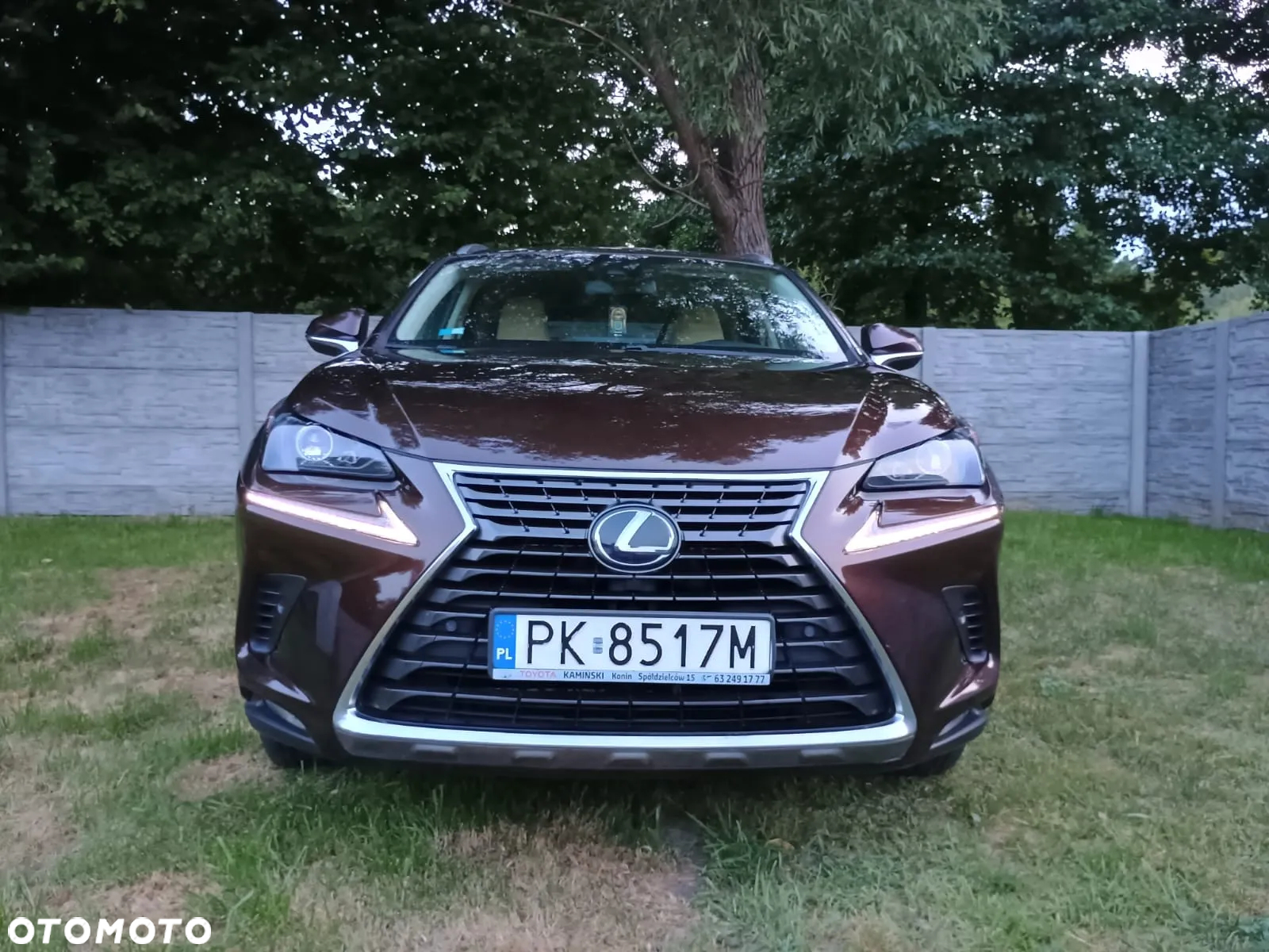 Lexus NX 300h Elegance AWD - 12