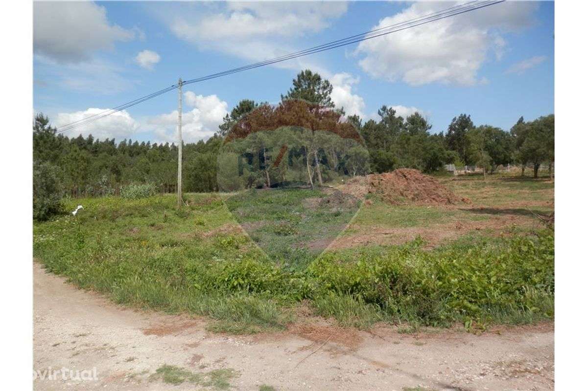 Terreno Rústico em Anadia - Grande imagem: 2/8